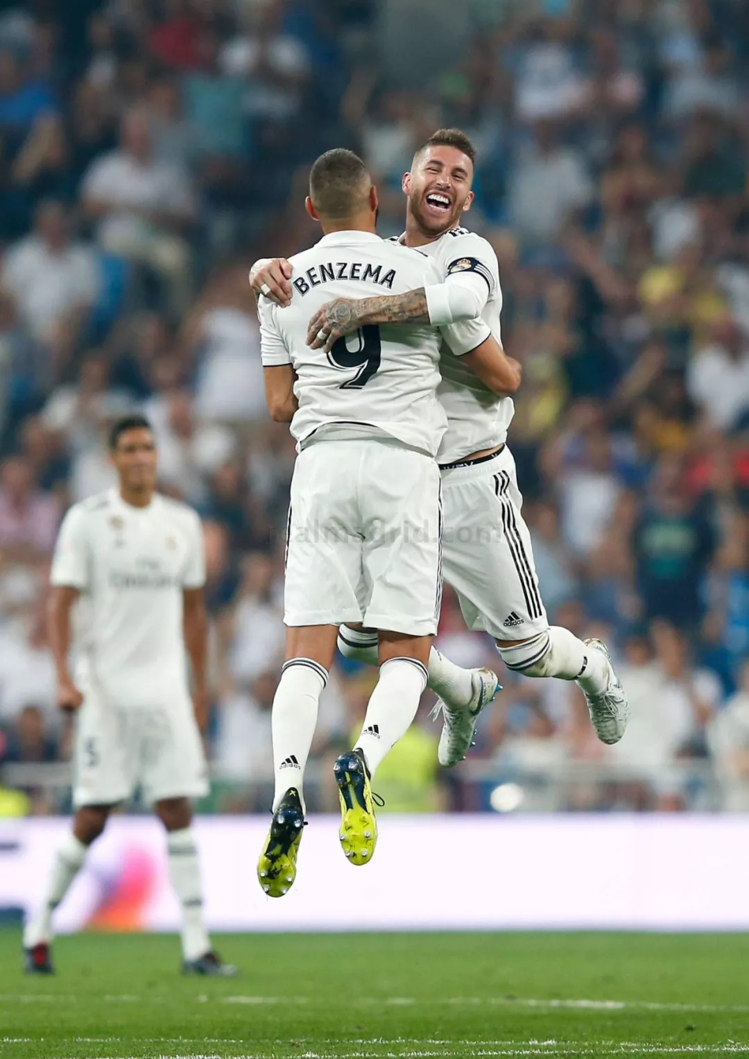 体能训练 体能训练